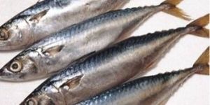 Sardine Fish Frozen Fish