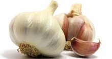 Fresh Garlic