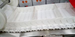 Plastic Modular Belts