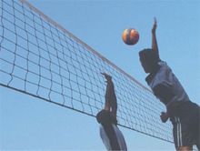 Volleyball Nets