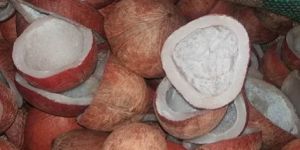 Coconut Copra