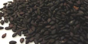 Sesame Seeds