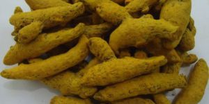 Turmeric Finger
