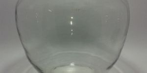 Transparent Glass Flower Vase