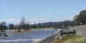 LDPE Tarpaulins Sheets