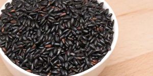 Raw Black Rice