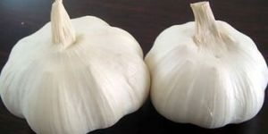 Dehydrated Garlic