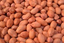 Groundnut Kernels