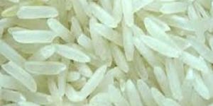 Basmati Rice