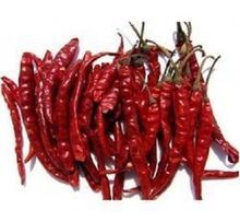 Dry Red Chilli