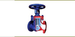 Bellow Seal Isolation Valve