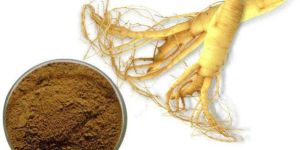Grape Seed Extract