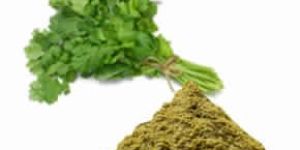 Coriander Powder