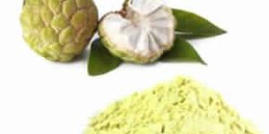 Custard Apple Powder