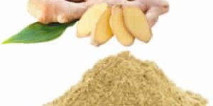 Ginger Powder