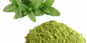 Mint Powder
