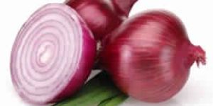 Onion