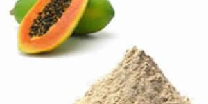 Papaya Powder