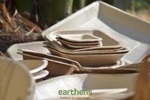 Palm Leaf Dinnerware
