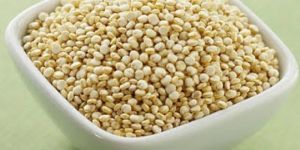 Quinoa