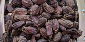 Organic Black Cardamom