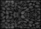 Black Sesame Seeds