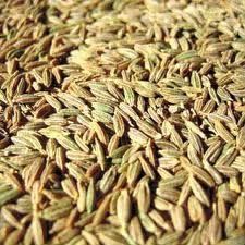 Cumin Seed