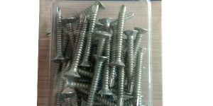 Assorted Steel Screw