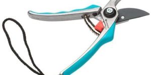 Pruning Shears