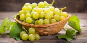 Fresh Grapes