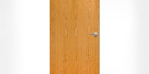 Wood Laminated Flush Door