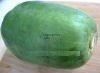 Green Papaya