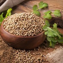 Coriander Oil