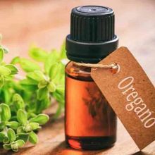 Oregano Essential Oil
