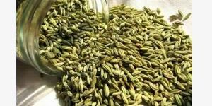 Aniseed Oil