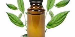 Camphor Oil