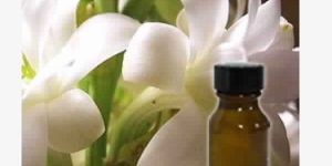 Tuberose Absolute Oil