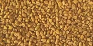 Fenugreek Seed