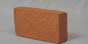 Coco Peat Briquette