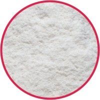 Dehydrated Onion Powder