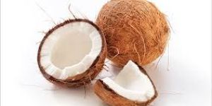 Coconut