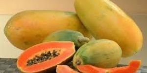 Fresh Papaya