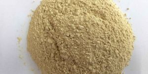 Dehydrated Garlic Powder