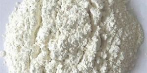 Dehydrated White Onion Powder