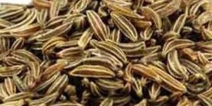 Cumin Seeds