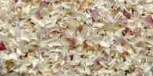 Dehydrated Onions