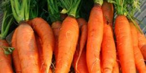 Frozen Carrots