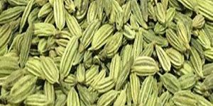 Fennel Seeds