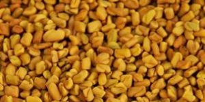Fenugreek Seeds