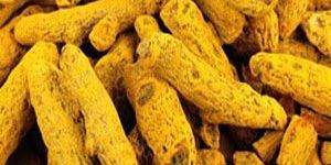Turmeric